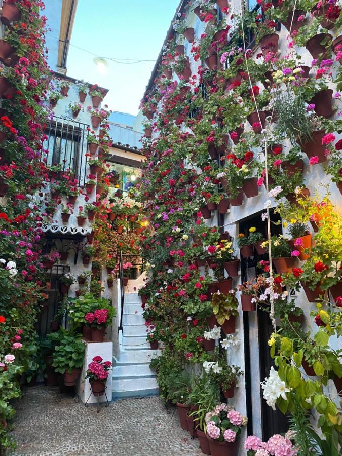 Atico Casa Lola Apartment Kordoba Bagian luar foto